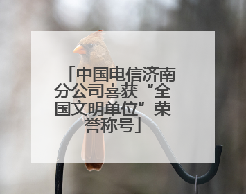 中国电信济南分公司喜获“全国文明单位”荣誉称号