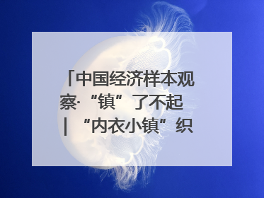 中国经济样本观察·“镇”了不起｜“内衣小镇”织出500亿元“里子产业”