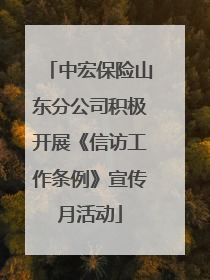中宏保险山东分公司积极开展《信访工作条例》宣传月活动