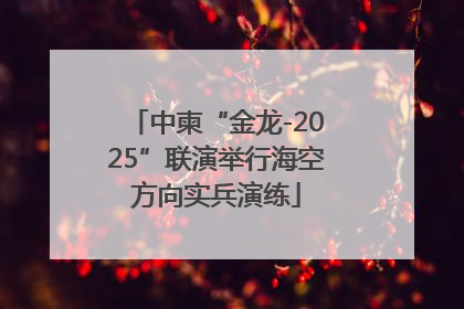 中柬“金龙-2025”联演举行海空方向实兵演练