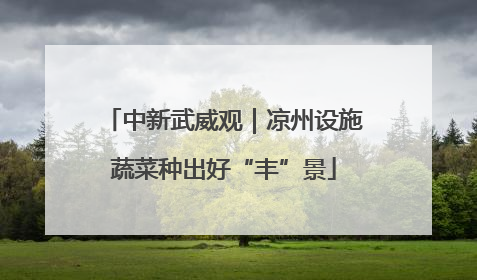 中新武威观｜凉州设施蔬菜种出好“丰”景