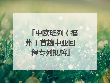 中欧班列（福州）首趟中亚回程专列抵榕