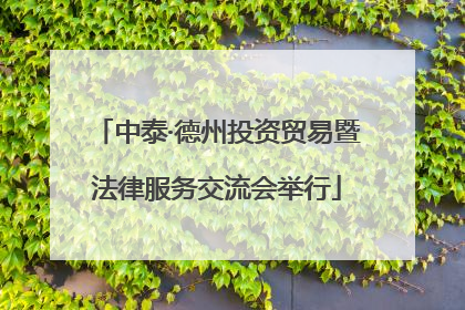 中泰·德州投资贸易暨法律服务交流会举行