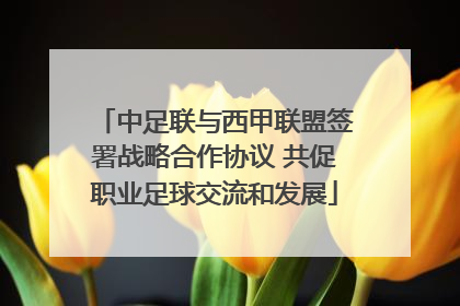 中足联与西甲联盟签署战略合作协议 共促职业足球交流和发展