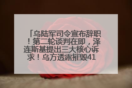 乌陆军司令宣布辞职！第二轮谈判在即，泽连斯基提出三大核心诉求！乌方透露摧毁41架俄战略轰炸机