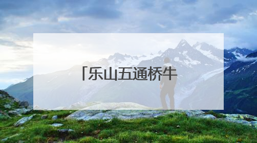 乐山五通桥牛华镇二码头小学：适应与成长，助力新启航
