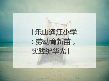 乐山通江小学：劳动育新苗，实践绽华光