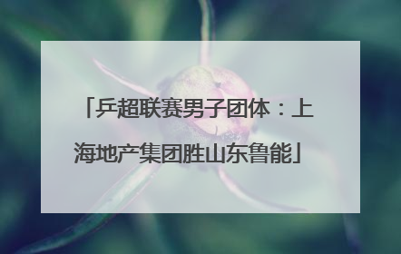 乒超联赛男子团体：上海地产集团胜山东鲁能