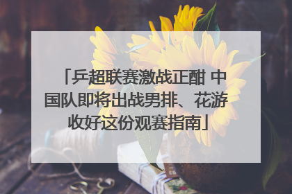 乒超联赛激战正酣 中国队即将出战男排、花游 收好这份观赛指南