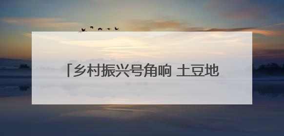 乡村振兴号角响 土豆地里竞赛忙｜曲阜市王庄镇开展土豆收获劳动竞赛