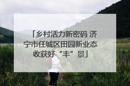 乡村活力新密码 济宁市任城区田园新业态收获好“丰”景