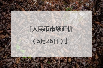 人民币市场汇价（5月26日）