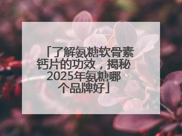 了解氨糖软骨素钙片的功效，揭秘2025年氨糖哪个品牌好