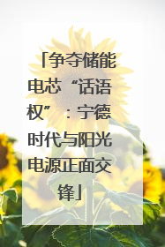 争夺储能电芯“话语权”：宁德时代与阳光电源正面交锋