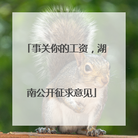 事关你的工资，湖南公开征求意见