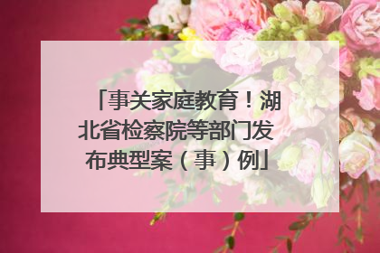 事关家庭教育！湖北省检察院等部门发布典型案（事）例