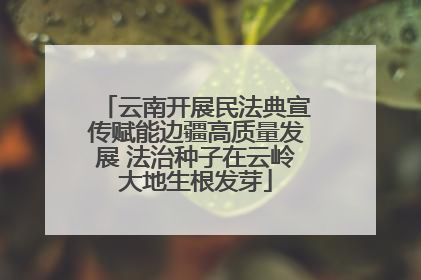 云南开展民法典宣传赋能边疆高质量发展 法治种子在云岭大地生根发芽