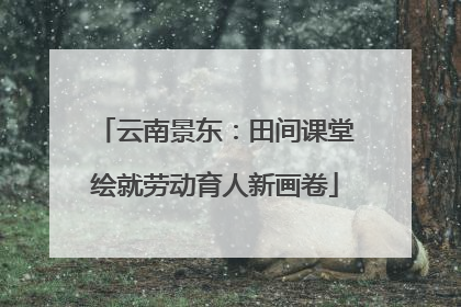 云南景东：田间课堂绘就劳动育人新画卷