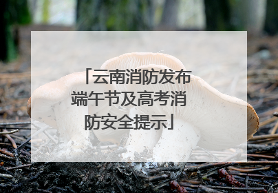 云南消防发布端午节及高考消防安全提示
