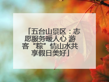 五台山景区：志愿服务暖人心 游客“粽”情山水共享假日美好