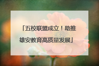 五校联盟成立！助推雄安教育高质量发展