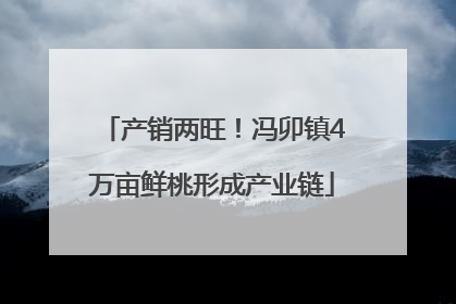产销两旺！冯卯镇4万亩鲜桃形成产业链