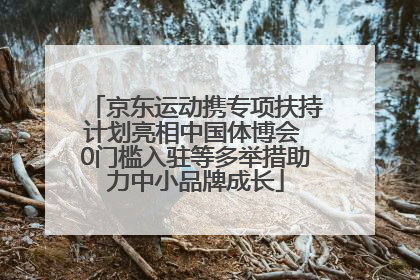 京东运动携专项扶持计划亮相中国体博会 0门槛入驻等多举措助力中小品牌成长