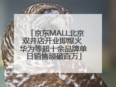 京东MALL北京双井店开业即爆火 华为等超十余品牌单日销售额破百万