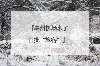 亳州机场来了首批“旅客”