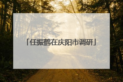 任振鹤在庆阳市调研