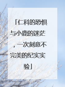 仁科的恐惧与小鹿的迷茫，一次刻意不完美的纪实实验