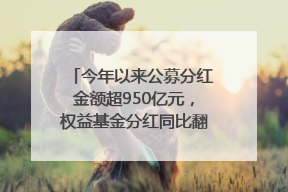 今年以来公募分红金额超950亿元，权益基金分红同比翻倍｜招财猫