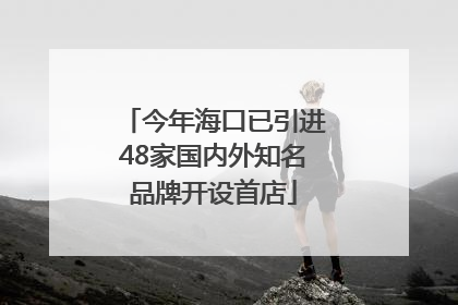 今年海口已引进48家国内外知名品牌开设首店