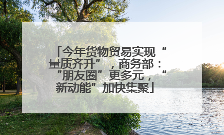 今年货物贸易实现“量质齐升”，商务部：“朋友圈”更多元，“新动能”加快集聚