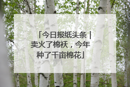 今日报纸头条｜卖火了棉袄，今年种了千亩棉花