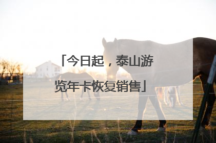 今日起，泰山游览年卡恢复销售