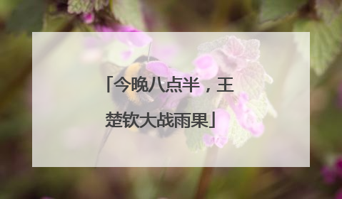 今晚八点半，王楚钦大战雨果