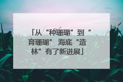 从“种珊瑚”到“育珊瑚” 海底“造林”有了新进展
