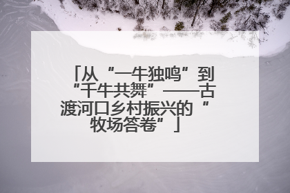 从“一牛独鸣”到“千牛共舞”——古渡河口乡村振兴的“牧场答卷”