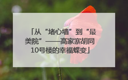 从“堵心墙”到“最美院”——高家寨胡同10号楼的幸福蝶变