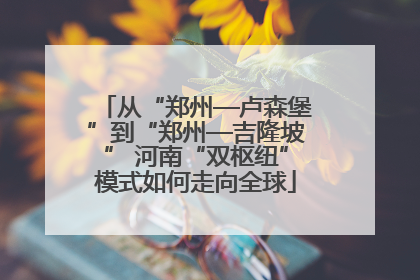 从“郑州—卢森堡”到“郑州—吉隆坡” 河南“双枢纽”模式如何走向全球