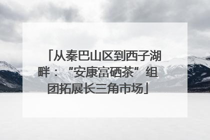 从秦巴山区到西子湖畔：“安康富硒茶”组团拓展长三角市场