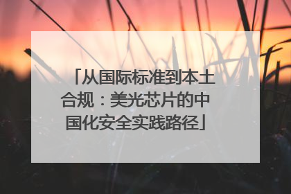 从国际标准到本土合规：美光芯片的中国化安全实践路径