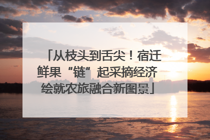从枝头到舌尖！宿迁鲜果“链”起采摘经济绘就农旅融合新图景