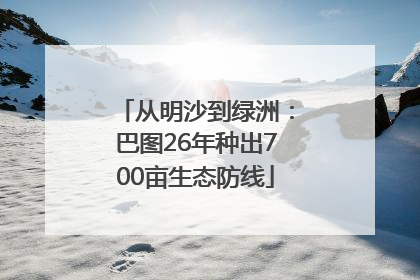 从明沙到绿洲：巴图26年种出700亩生态防线