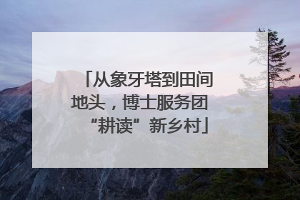 从象牙塔到田间地头，博士服务团“耕读”新乡村