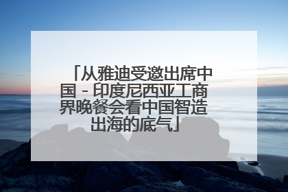 从雅迪受邀出席中国－印度尼西亚工商界晚餐会看中国智造出海的底气