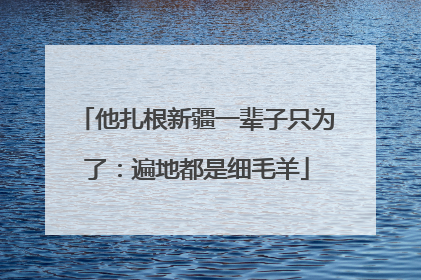 他扎根新疆一辈子只为了：遍地都是细毛羊