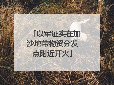 以军证实在加沙地带物资分发点附近开火