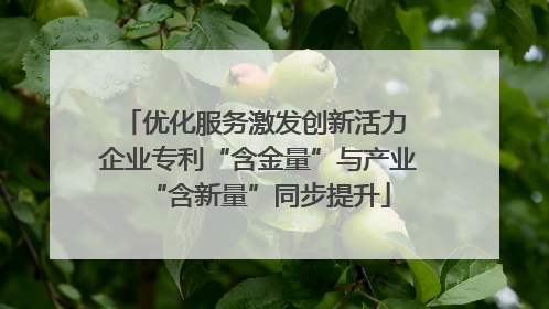 优化服务激发创新活力 企业专利“含金量”与产业“含新量”同步提升